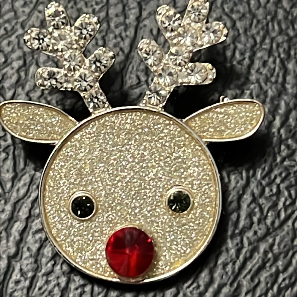 Rudolph Christmas Pin, NWOT